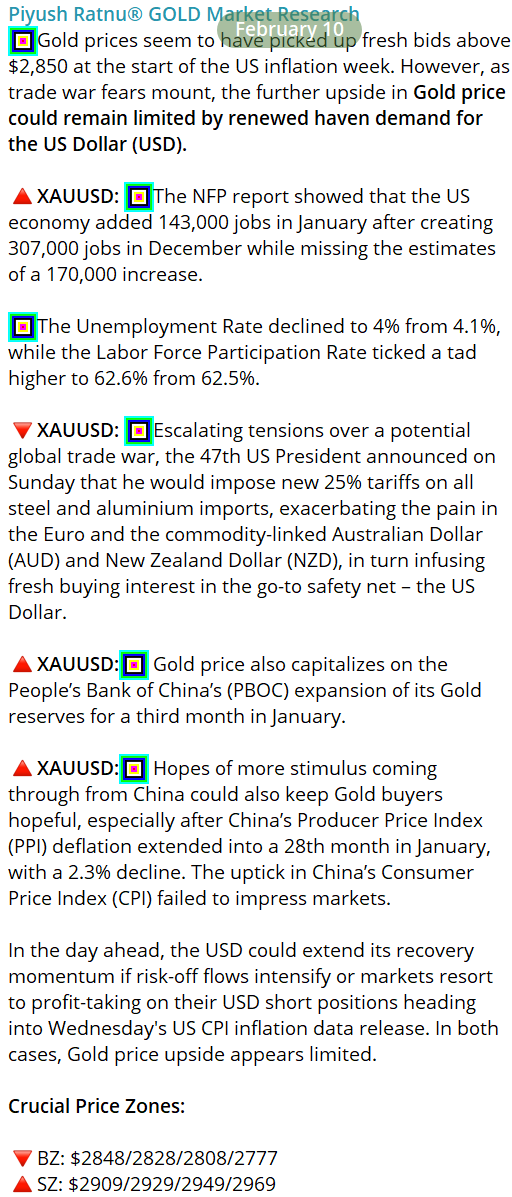 2929 in february 2025 piyush ratnu prgold analysis xauusd most accurate price projection